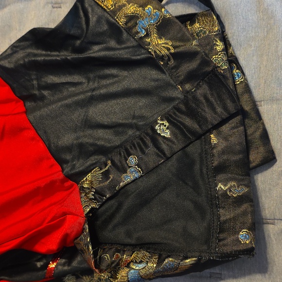 DRAGON MISS Costume - Picture 5 of 6